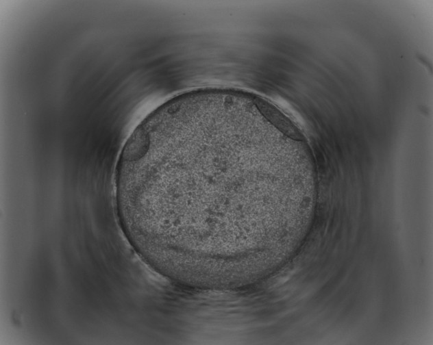 X0000092221287200710121149