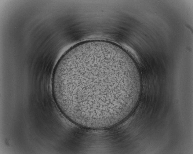 X0000092221288200710121149