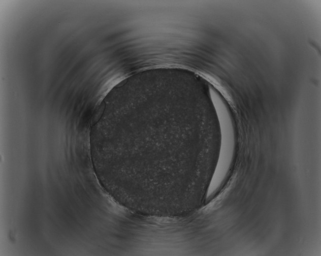 X0000092221289200710121149