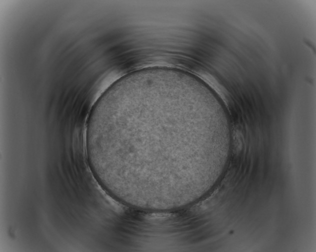 X0000092221290200710121149