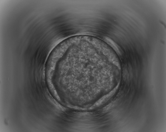 X0000092221292200710121149
