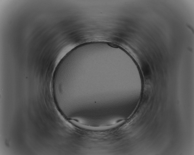 X0000092221293200710121149
