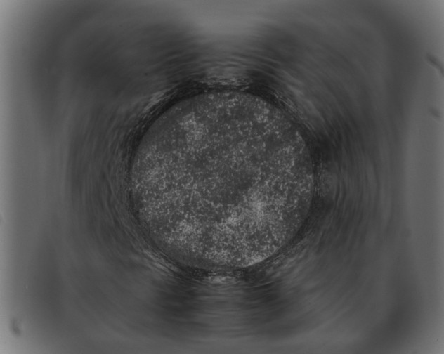 X0000092221297200710121148