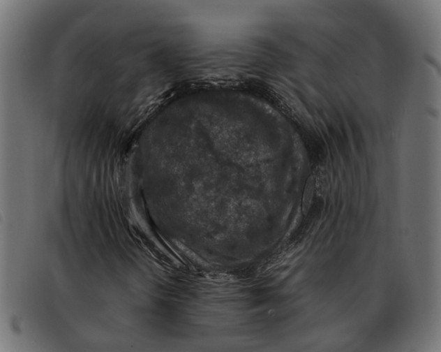 X0000092221298200710121148