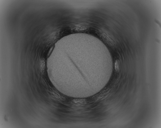 X0000092221299200710121148