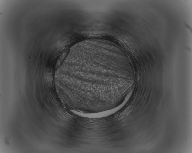 X0000092221300200710121148