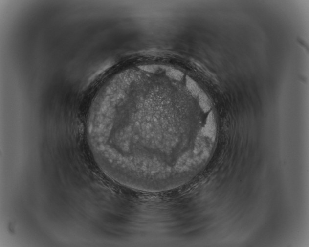 X0000092221302200710121148