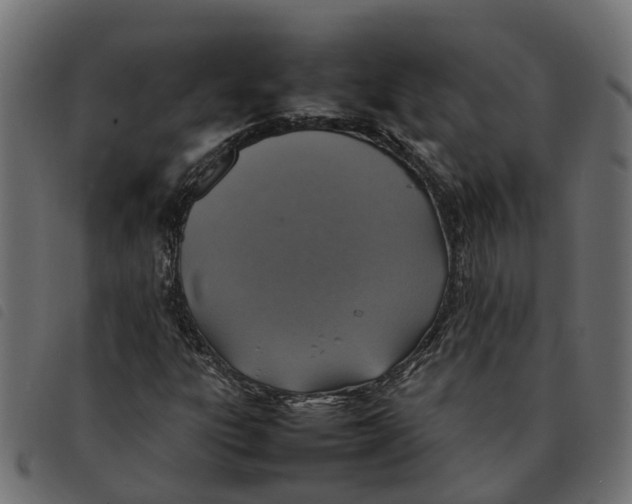 X0000092221303200710121148