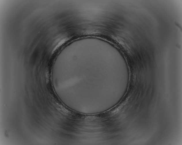 X0000092221306200710121148