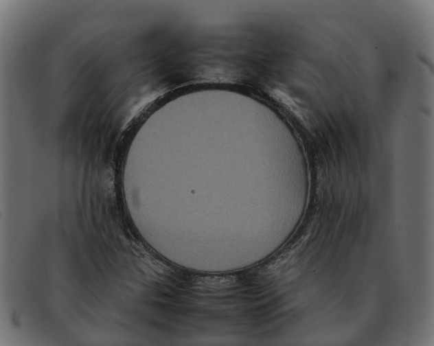 X0000092221307200710121148