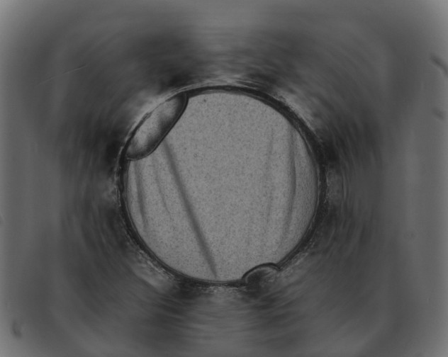 X0000092221308200710121148