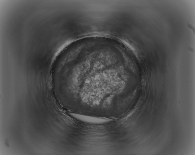 X0000092221310200710121148