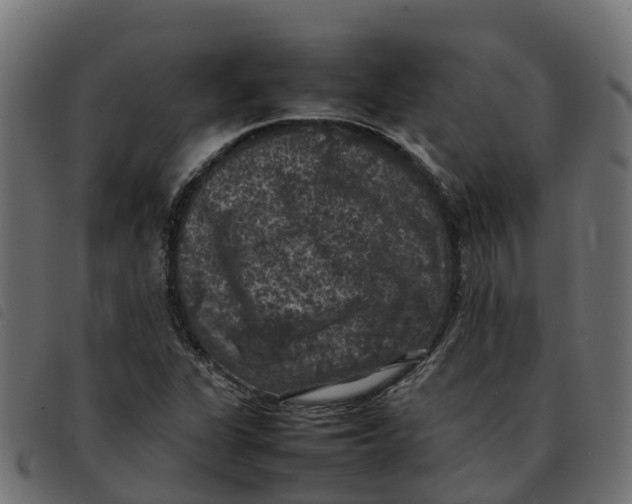 X0000092221311200710121148