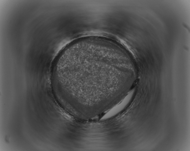 X0000092221312200710121148