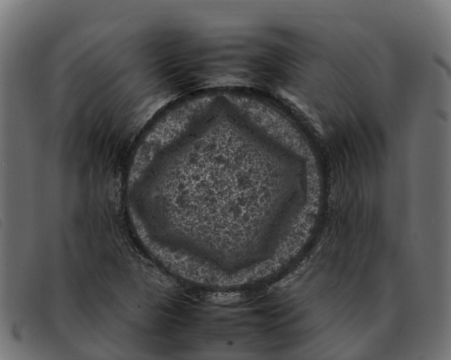 X0000092221313200710121148