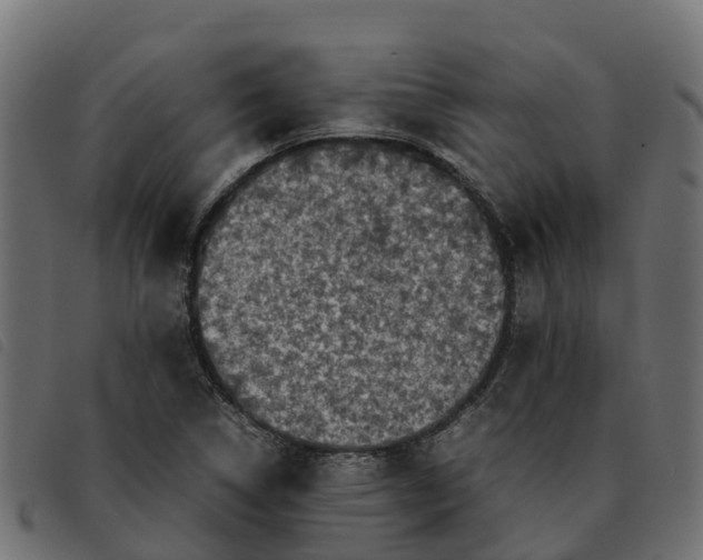 X0000092221314200710121148