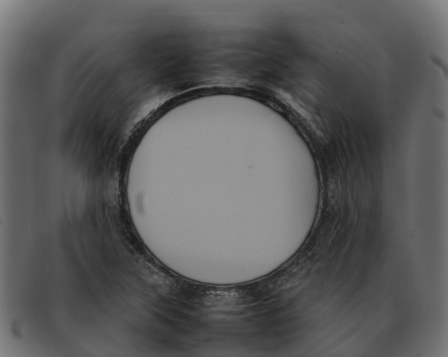X0000092221315200710121148