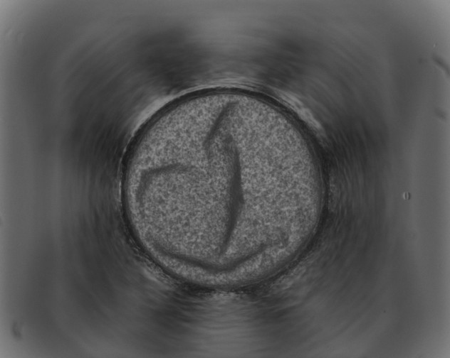X0000092221316200710121148