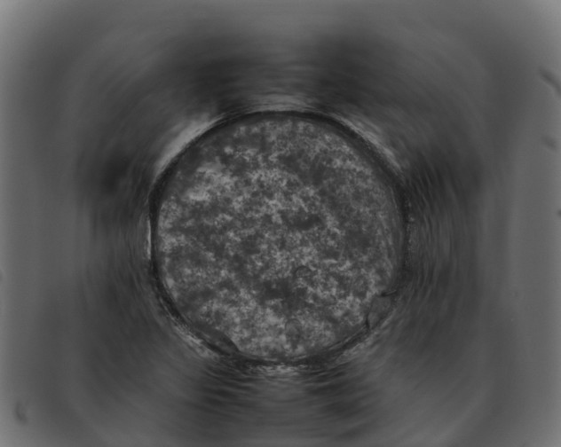 X0000092221317200710121148