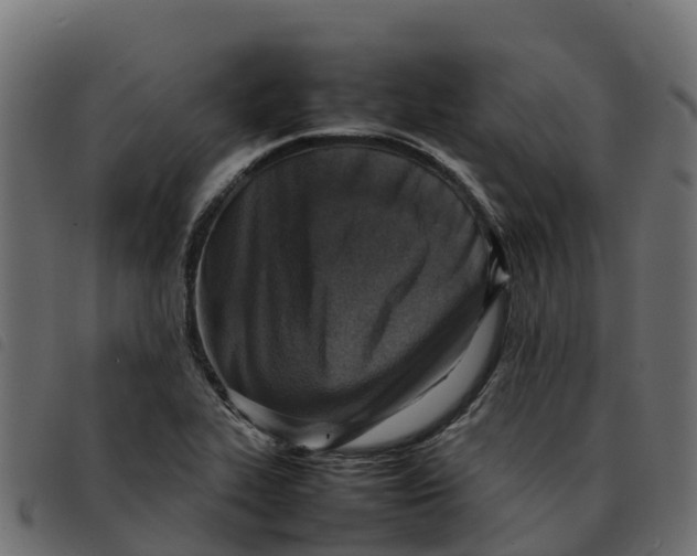 X0000092221319200710121148