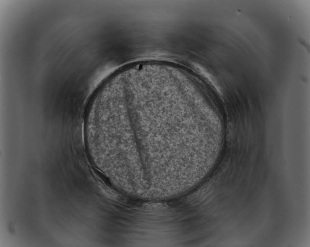 X0000092221320200710121148