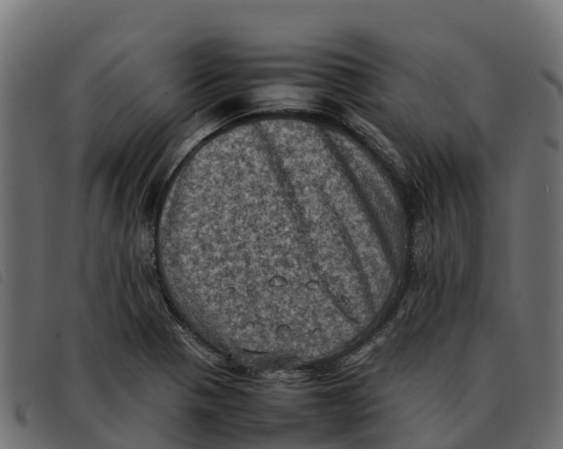 X0000092221321200710121148