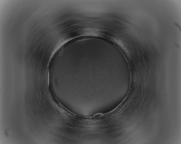 X0000092221323200710121148