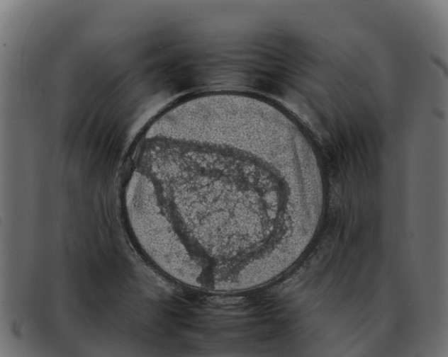 X0000092221325200710121149