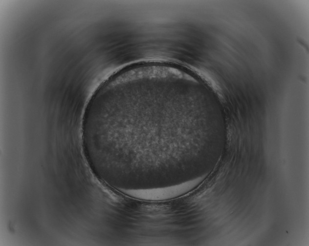 X0000092221327200710121149