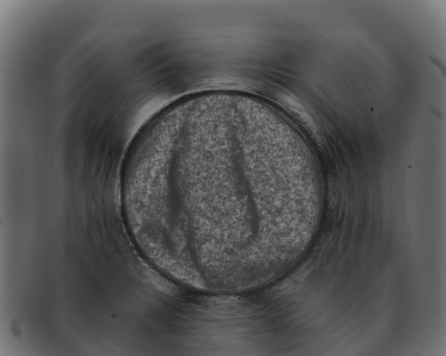 X0000092221328200710121149