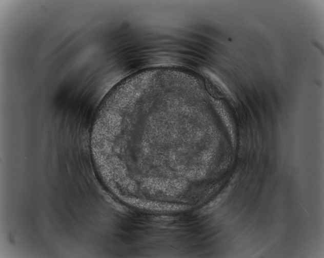 X0000092221329200710121149