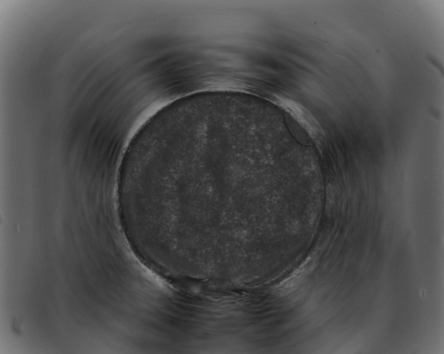 X0000092221331200710121149