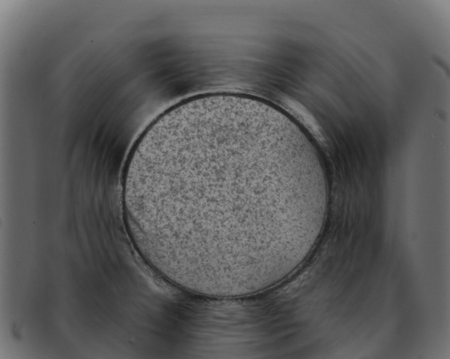 X0000092221332200710121149