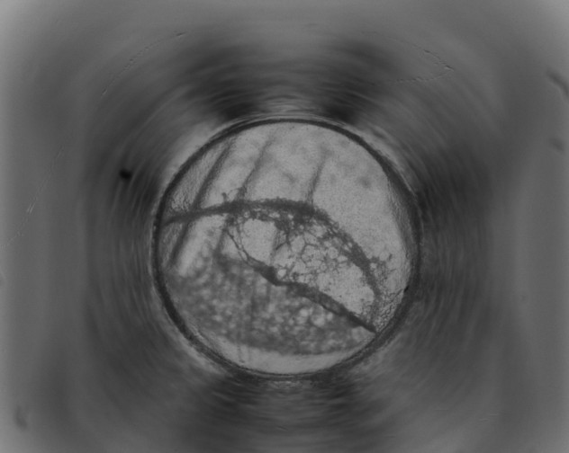 X0000092221333200710121149