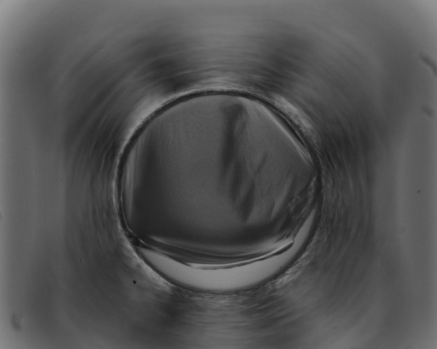X0000092221334200710121149