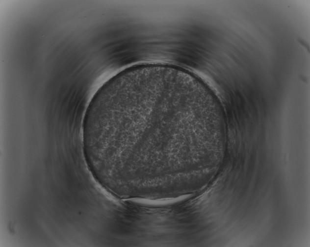 X0000092221335200710121149
