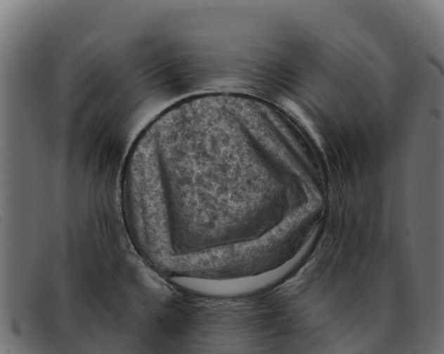 X0000092221336200710121149