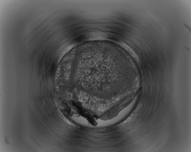 X0000092221337200710121149