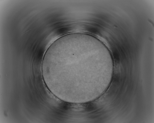 X0000092221338200710121149