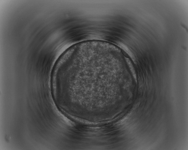 X0000092221339200710121149