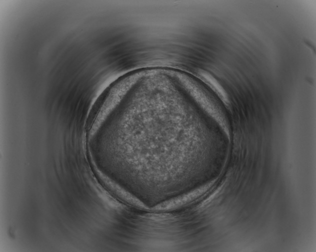 X0000092221340200710121149