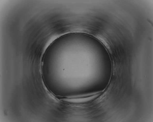 X0000092221342200710121149