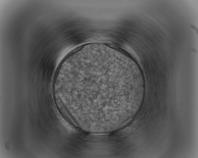 X0000092221344200710121149