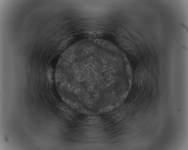X0000092221346200710121148