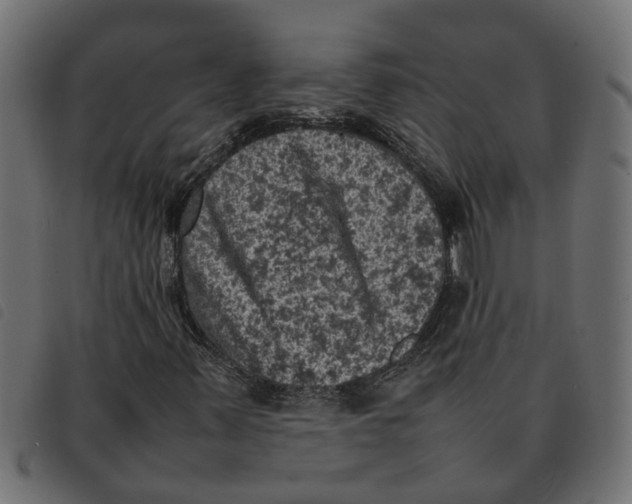 X0000092221347200710121148