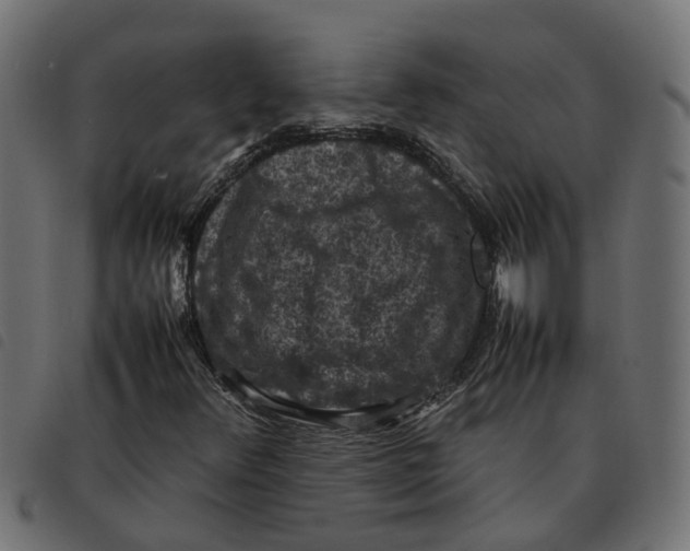 X0000092221348200710121148
