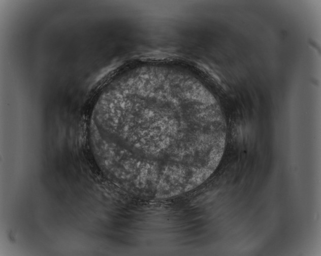 X0000092221350200710121148