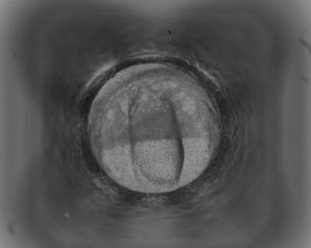 X0000092221351200710121148