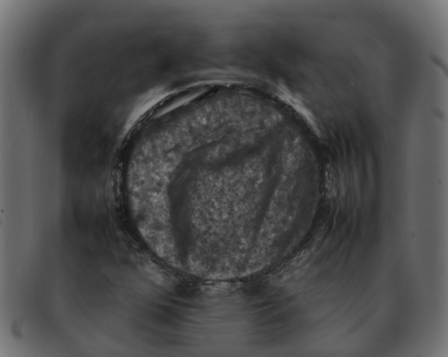 X0000092221352200710121148