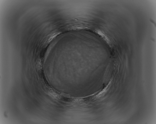 X0000092221353200710121148